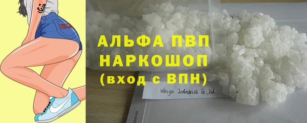 СК Абаза