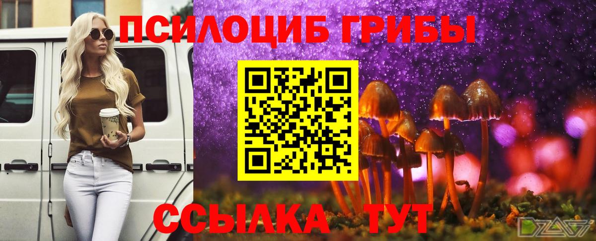 Псилоцибиновые грибы Psilocybine cubensis Зеленокумск